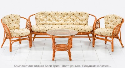 Комплект мебели из натурального ротанга с трёхместным диваном Бали Трио  (цвет: коньяк)