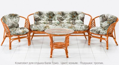 Комплект мебели из натурального ротанга с трёхместным диваном Бали Трио (цвет: коньяк) - вид 7 миниатюра